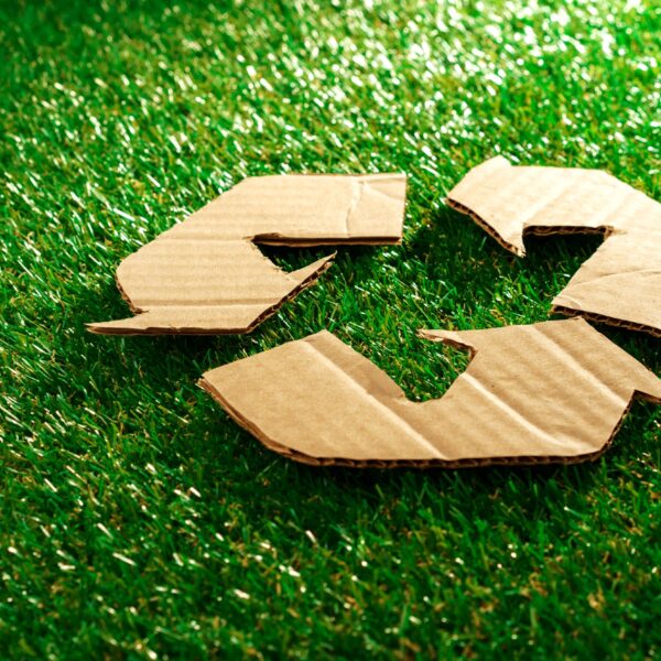 recycling eco concept with cardboard recycle sign on grass