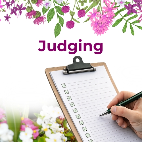 Flower boarder header with text - judging and clipboard, with a flower boarder